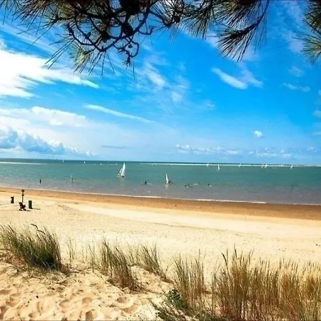别墅 House La Palmyre Les Maisons De L'ocean Maison Mitoyenne Proche Commerces Proximite Plages Et Foret