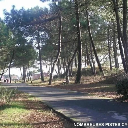 House La Palmyre Les Maisons De L'ocean Maison Mitoyenne Proche Commerces Proximite Plages Et Foret * 莱马特